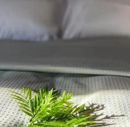 Lampsakou Suites 2-Bedroom House In Volos